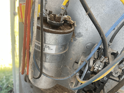 dead lizard touching the fan leg of the capacitor